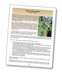Purchase this article to learn how to build a redwood trellis!