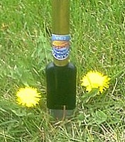 Photo 1 - Dandelion Terminator, A tool for plucking dandelions