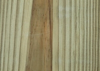 Everwood Treated Wood